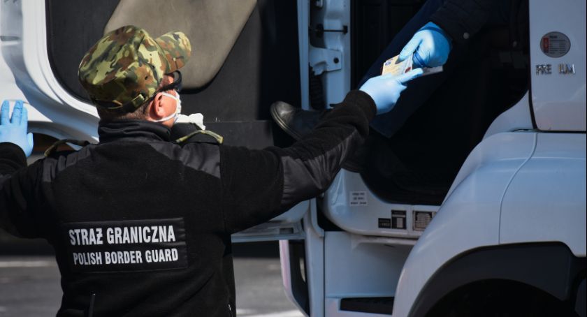 Trzy fałszywe dowody rejestracyjne 