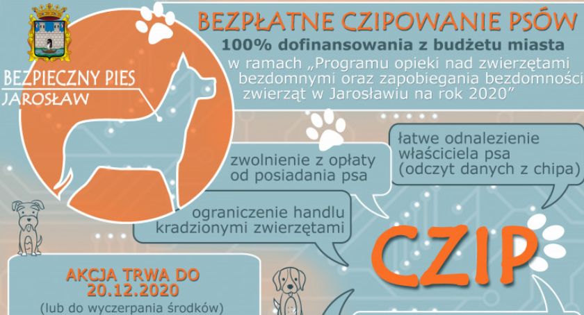 Akcja Urzędu Miasta Jarosławia. Bezpłatne czipowanie psów!