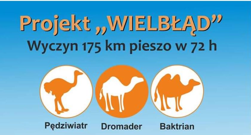 „Projekt Wielbłąd”