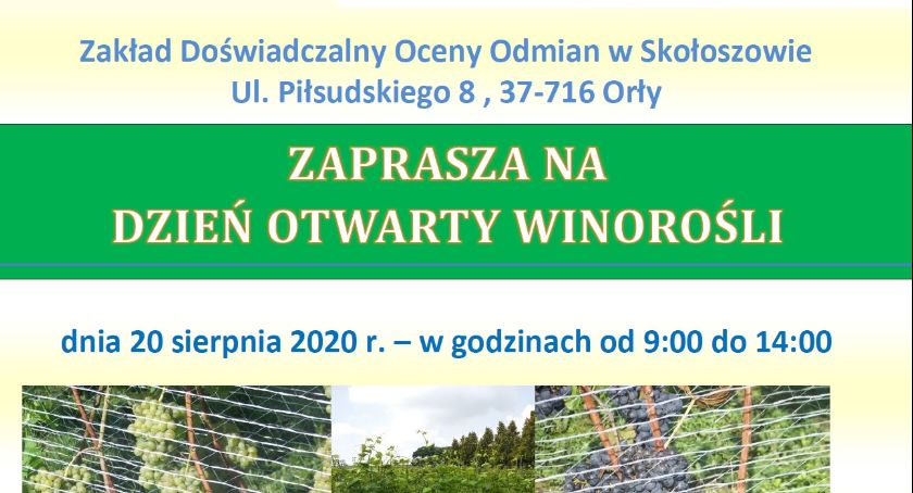 Dzień Otwarty Winorośli 
