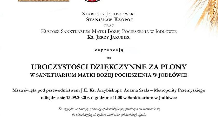 Uroczystości dziękczynne za plony