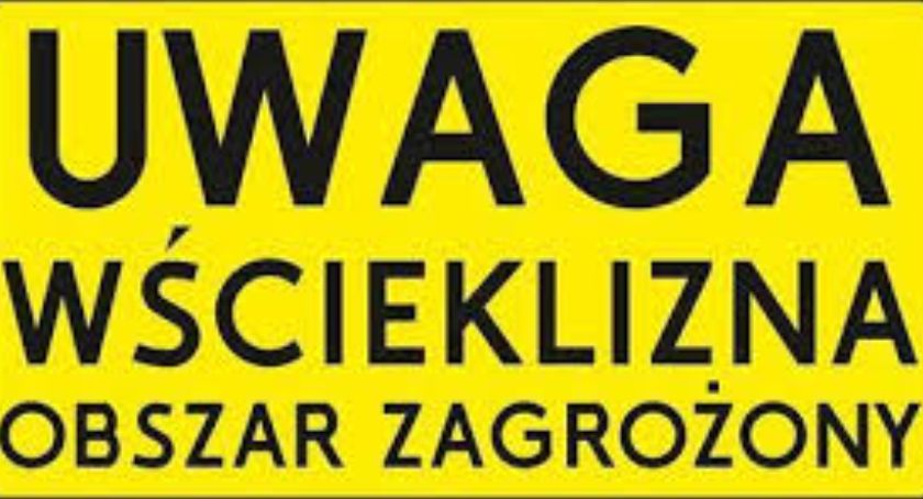 Ognisko wścieklizny