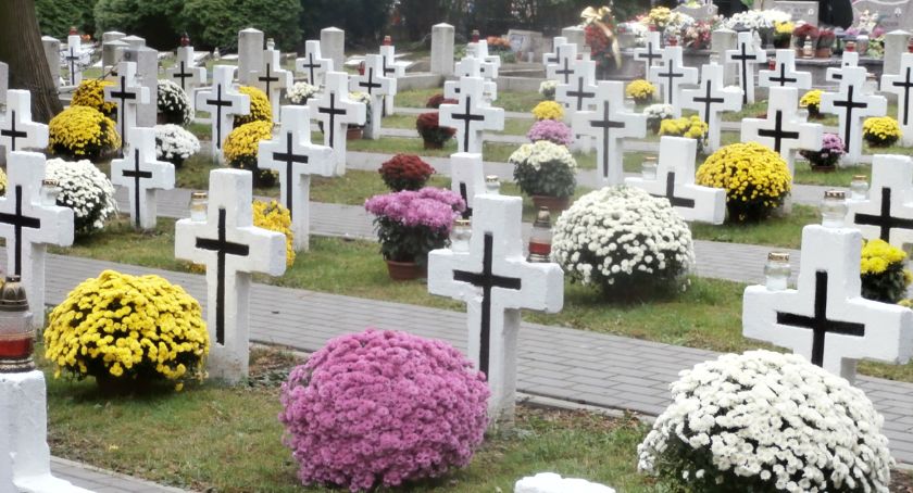 500 chryzantem na grobach żołnierzy i pomnikach