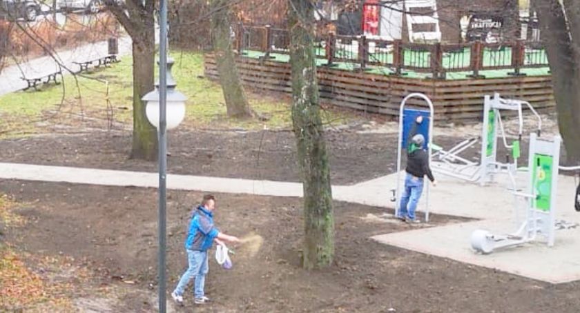 Zasiali trawę obok siłowni na Małym Rynku 