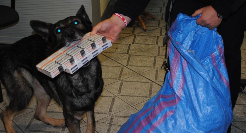  Ponad 1,6 tys. paczek nielegalnych papierosów zatrzymano w Korczowej