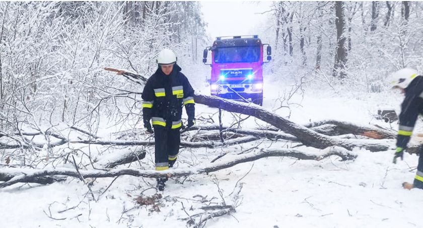 Strażacy usuwali powalone drzewo 