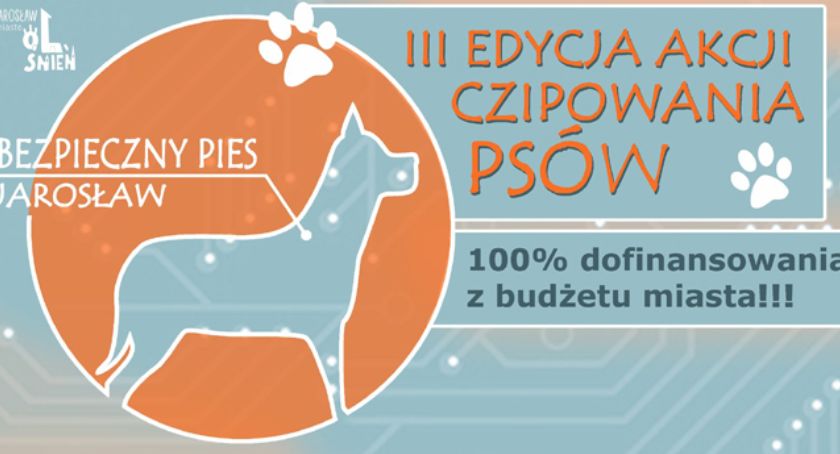Zaczipuj bezpłatnie psa