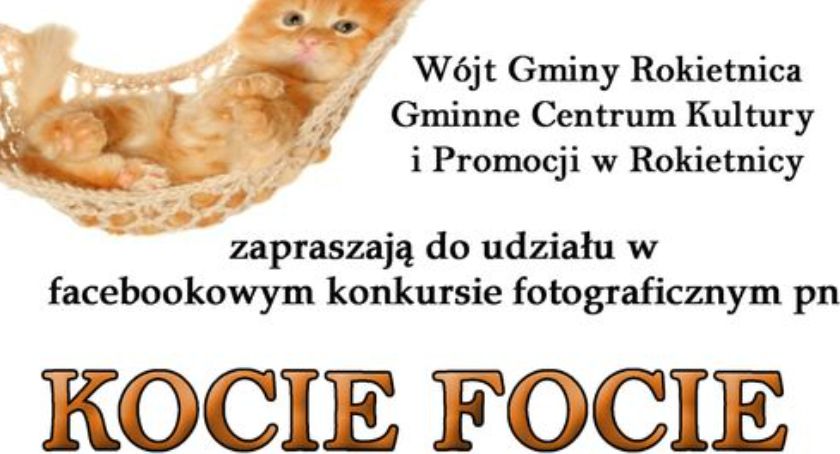 Konkurs fotograficzny „KOCIE FOCIE