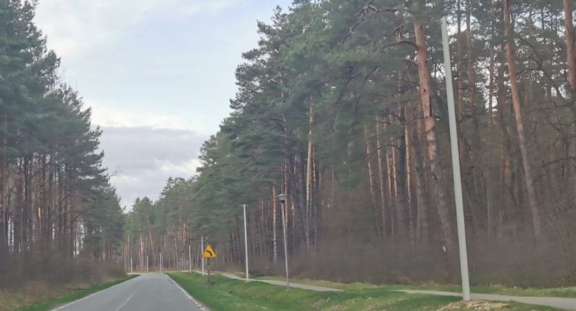  Słupy przy ścieżce rowerowej do Radawy psują estetykę