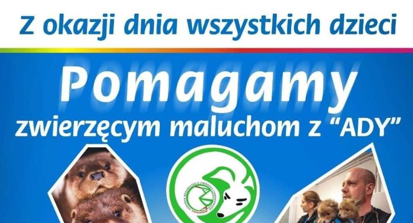 Pomagają zwierzęcym maluchom z ADY