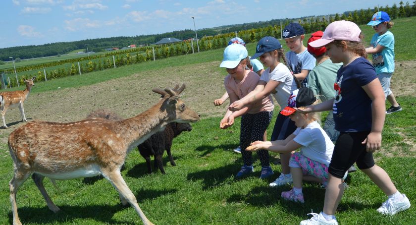 Słoneczny Dzień Dziecka z Akademią Uśmiechu