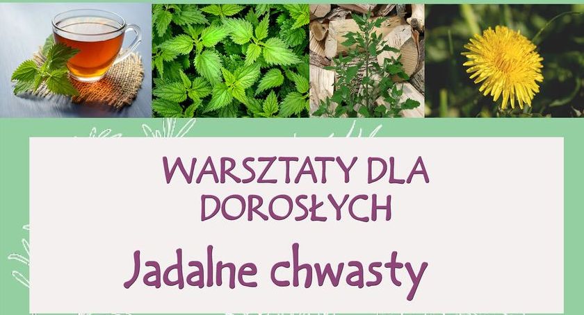 Jadalne chwasty - warsztaty w Rokietnicy Woli