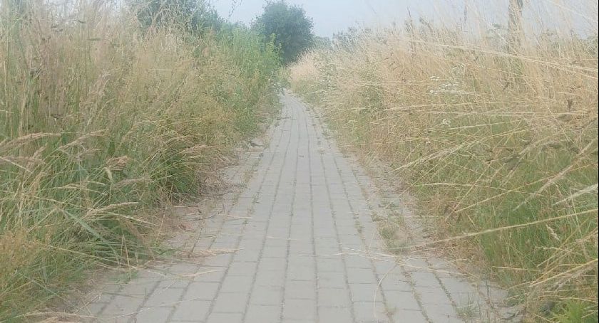 Zarośnięty chodnik przy drodze powiatowej 
