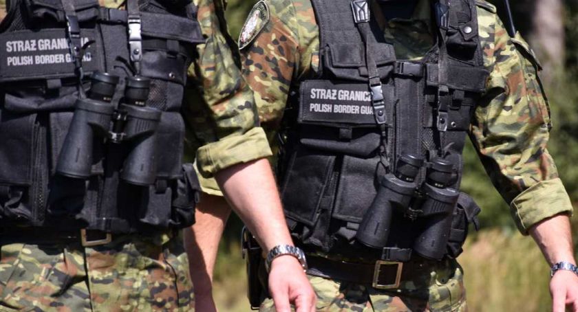 Nielegalni imigranci ukrywali się w kukurydzy 