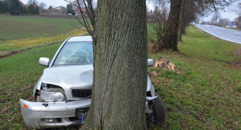 Uderzył w drzewo. Najprawdopodobniej zasnął za kierownicą  