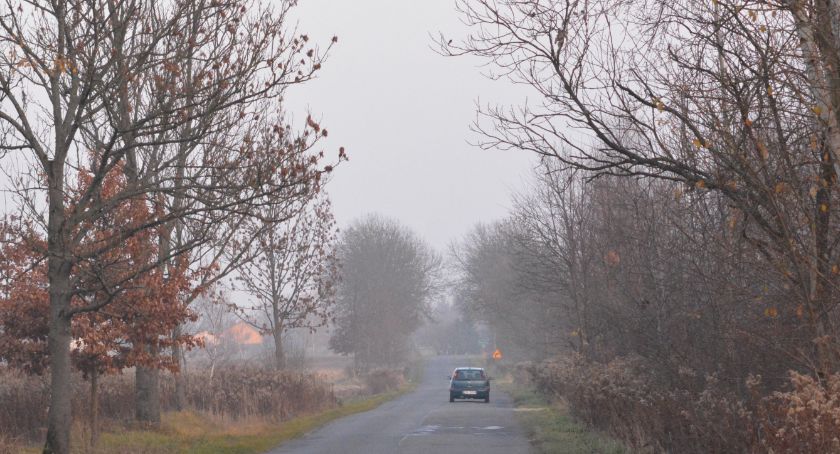 Uciekają na zarośnięte pobocze 