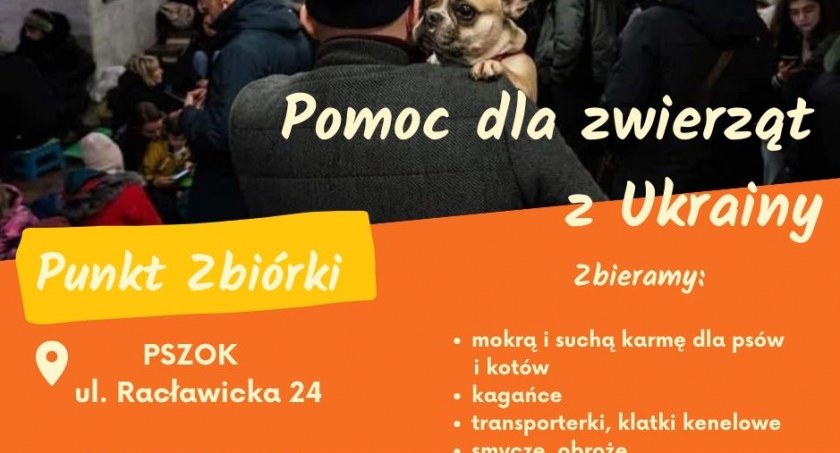 Pomoc dla zwierząt z Ukrainy. W Jarosławiu uruchomiono zbiórkę 