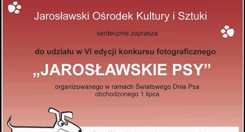 Ostatnie dni na wzięcie udziału w konkursie fotograficznym 