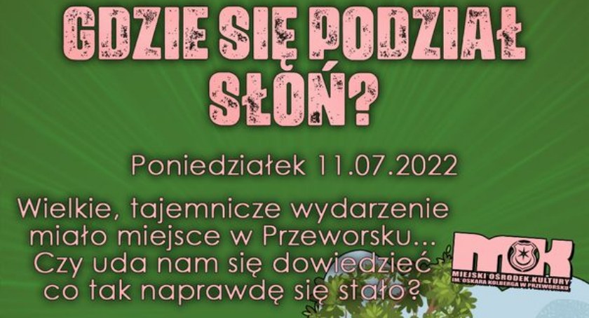 Warsztaty i animacje - Gdzie się podział słoń?
