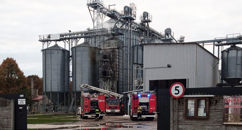 Pożar słonecznika w magazynie-suszarni w Wietlinie III