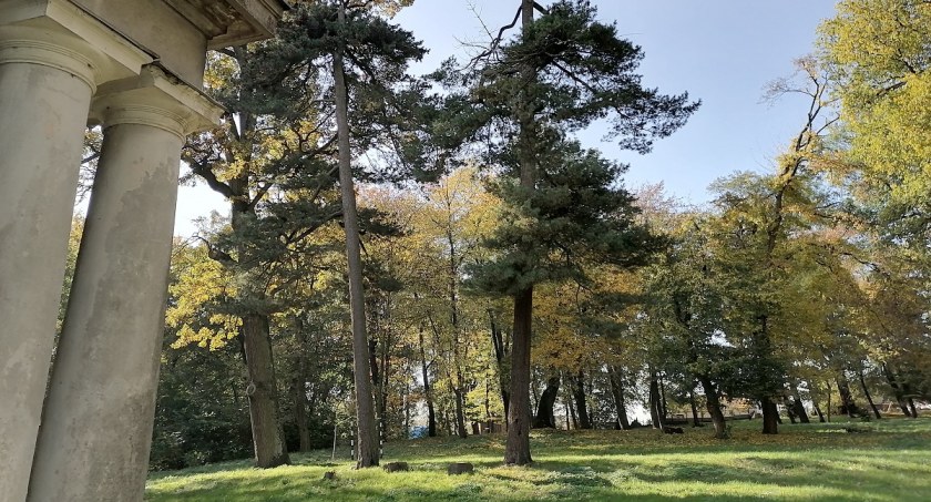 Park dworski w Chłopicach zamknięty do odwołania. Trwają prace pielęgnacyjne przy zabytkowym drzewostanie