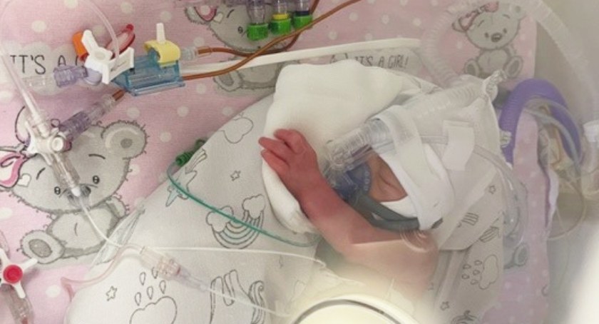 Pięcioraczki z gminy Horyniec Zdrój urodziły się wczoraj w Krakowie