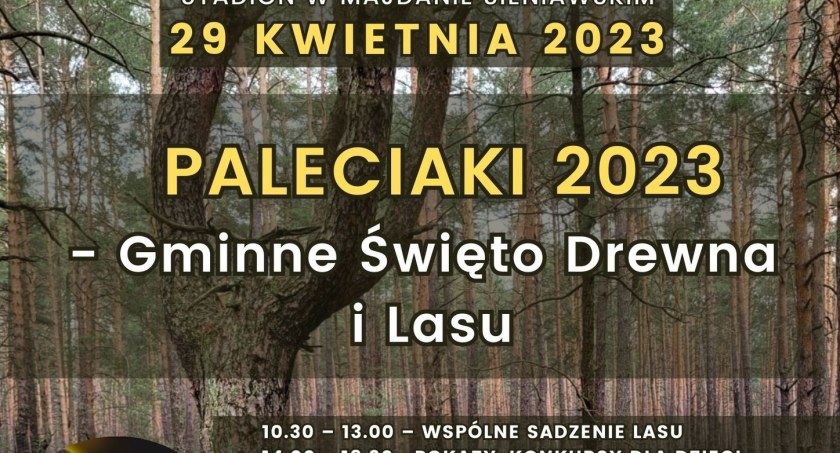 Paleciaki - Gminne Święto Drewna i Lasu w Majdanie Sieniawskim