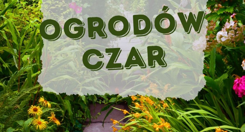 Ogrodów Czar - konkurs dla mieszkańców gminy Zarzecze