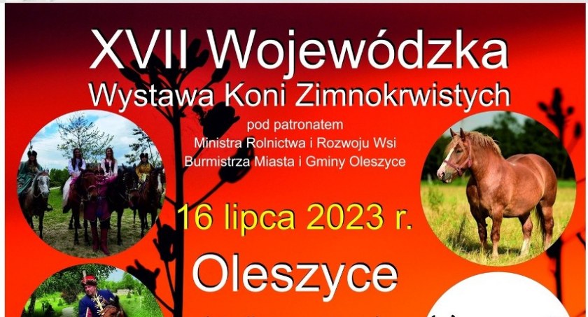 XVII Wojewódzka Wystawa Koni Zimnokrwistych