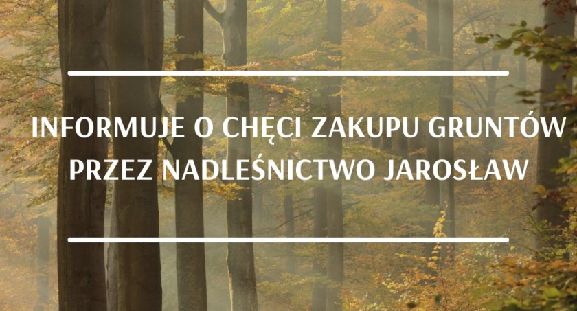 Ogłoszenie Nadleśnictwa Jarosław o możliwości zakupu lasów i gruntów 