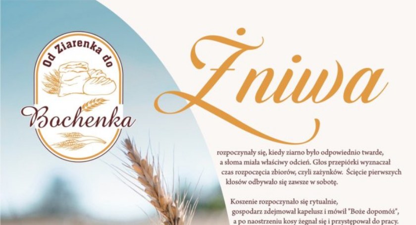Od Ziarenka do Bochenka - Żniwa