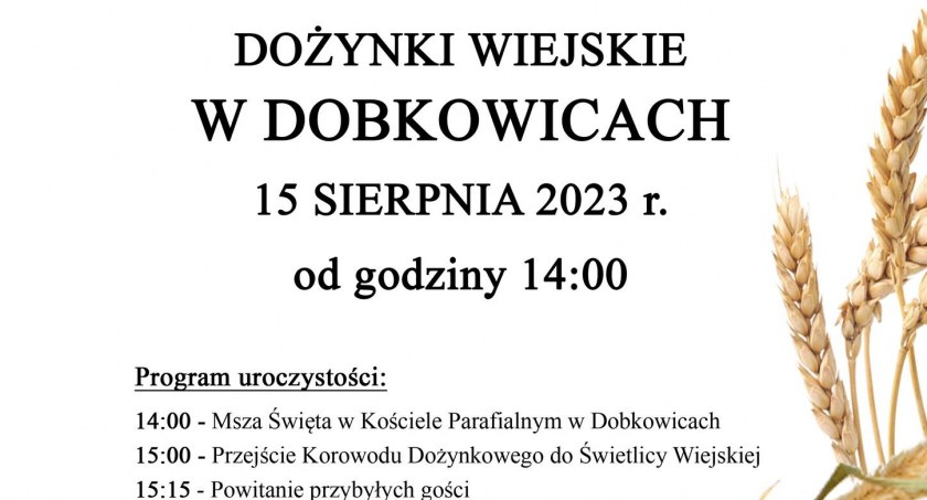Dożynki Wiejskie w Dobkowicach