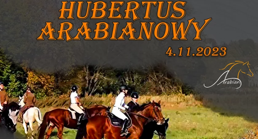 Hubertus Arabianowy w Pawłosiowie