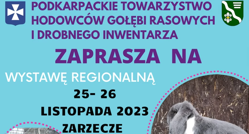 Regionalna wystawa gołębi rasowych i drobnego inwentarza w Zarzeczu