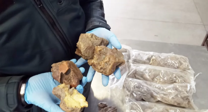 Prawie dziewięć kilogramów bursztynu w nadkolach na przejściu granicznym w Korczowej