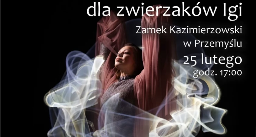 Koncert Charytatywny dla zwierzaków Igi w Przemyślu