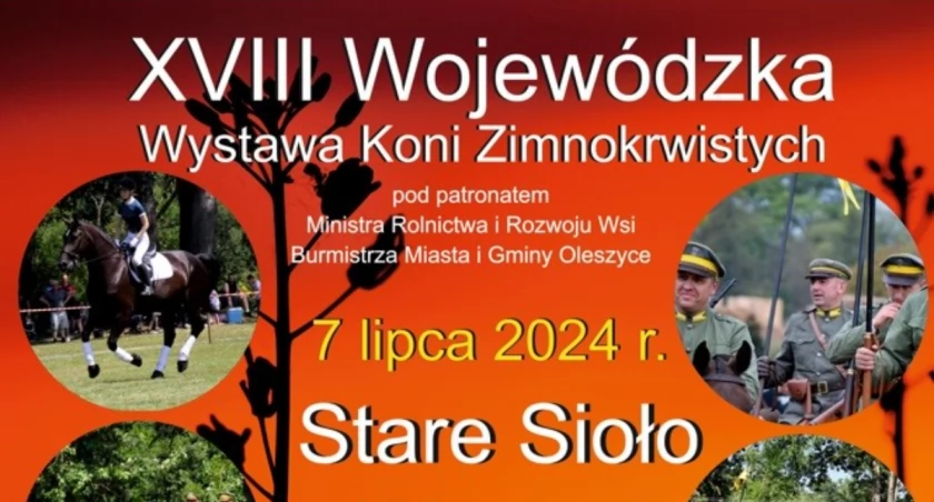 XVIII Wojewódzka Wystawa Koni Zimnokrwistych w Starym Siole w gminie Oleszyce