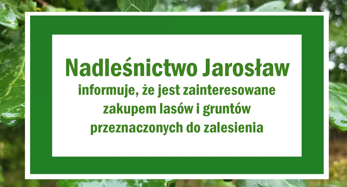 Nadleśnictwo Jarosław jest zainteresowane zakupem lasów i gruntów przeznaczonych do zalesienia