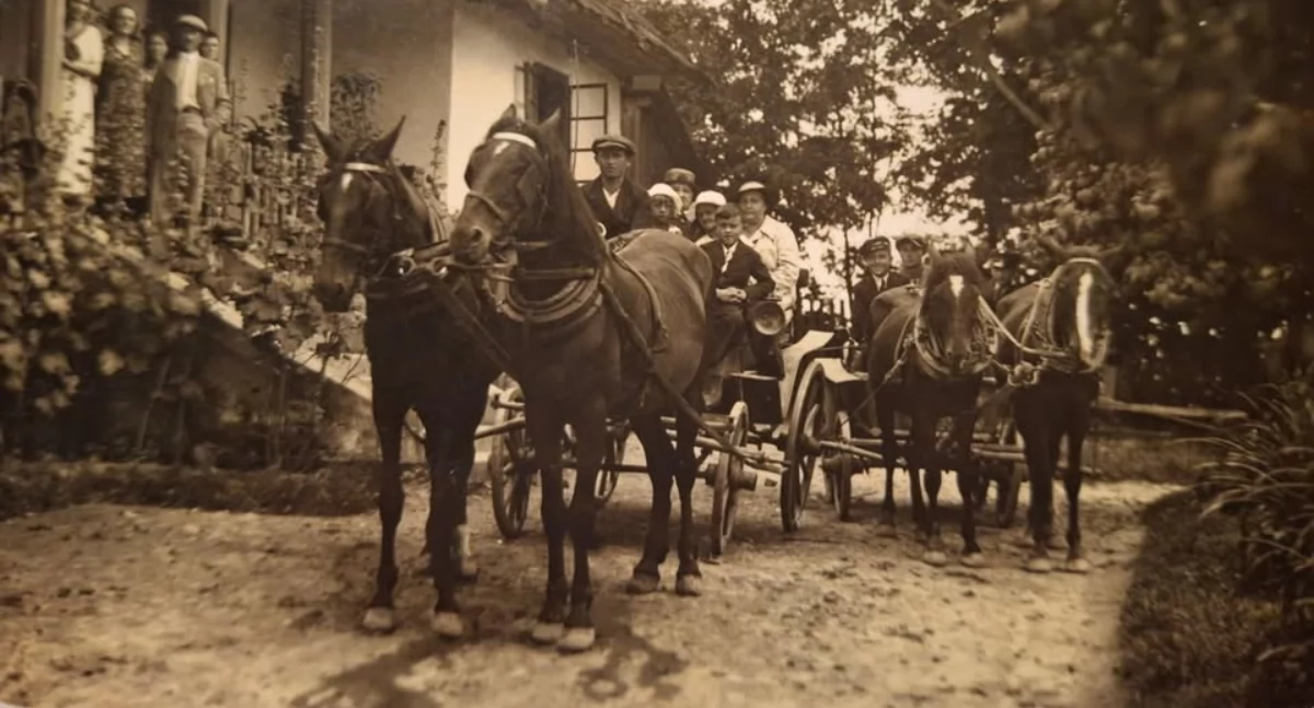  Niemczyccy i Hucisko Jawornickie - pośród wichrów historii