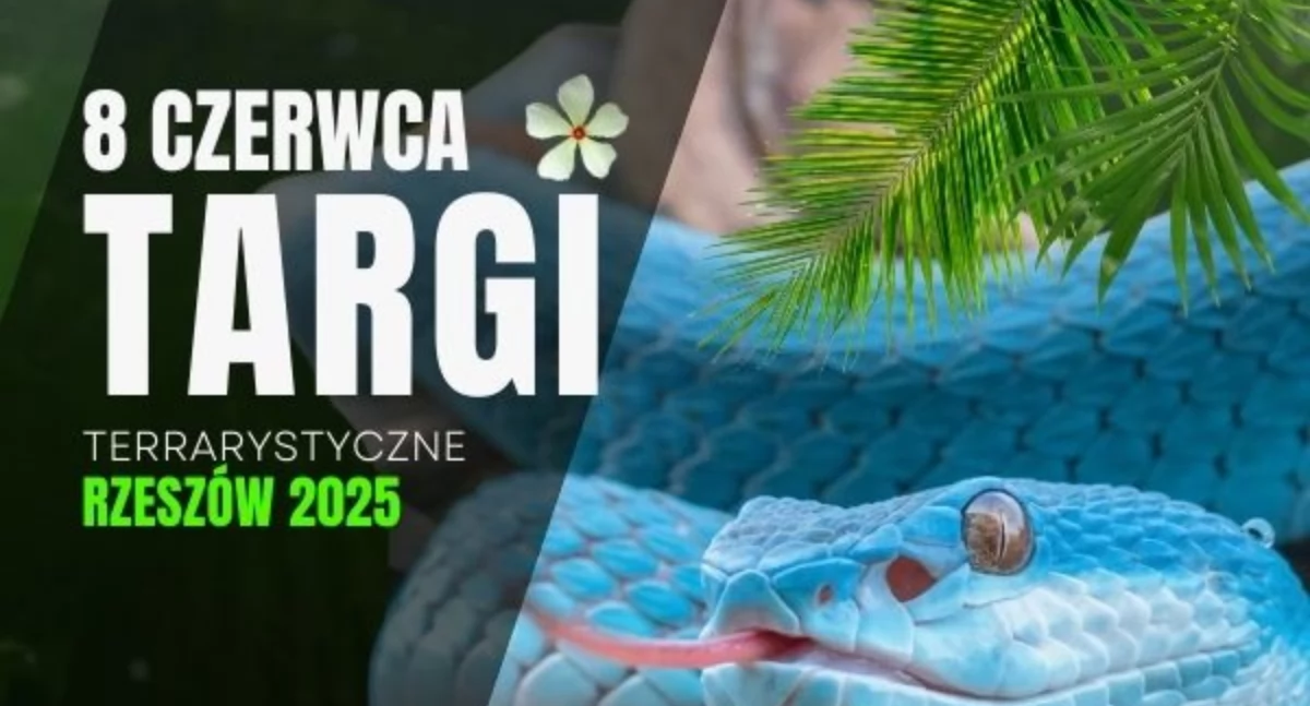 EXOTICARIUM Targi Terrarystyczne w Rzeszowie 