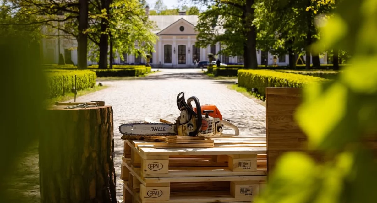Święto Drewna i Lasu w Sieniawie
