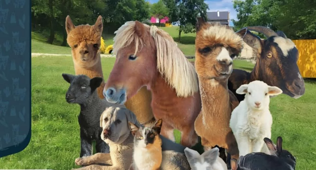 Mini Zoo w Jaworniku Polskim