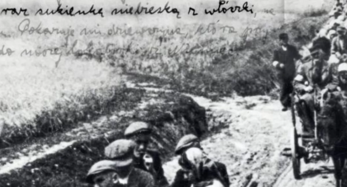 Wystawa „Niedokończona sukienka – świat Basi Rosenberg” w Przeworsku