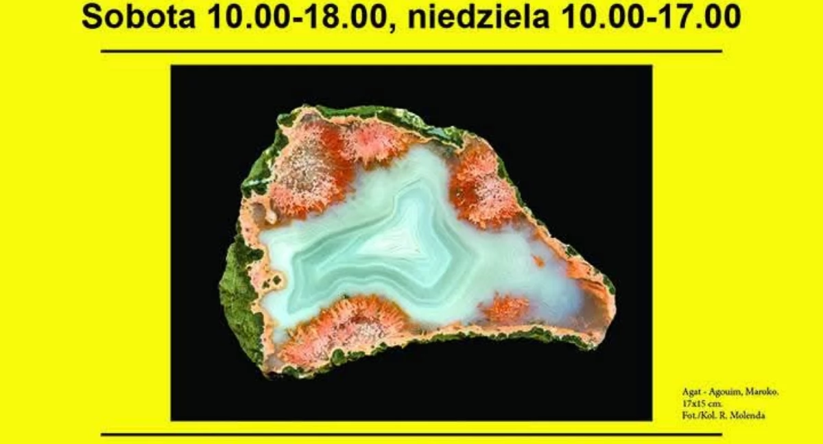 68. Międzynarodowa Wystawa i Giełda Minerałów w Rzeszowie 
