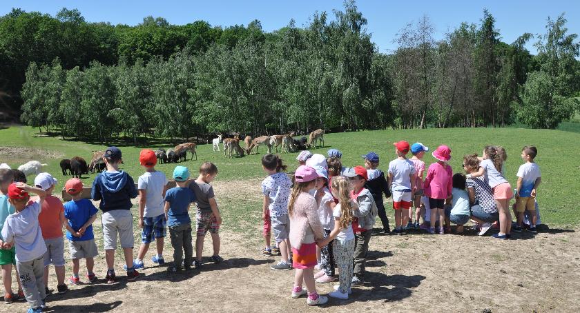 Dzień Dziecka w Akademii 