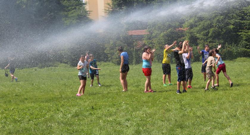 Piknik w ogrodach franciszkańkich