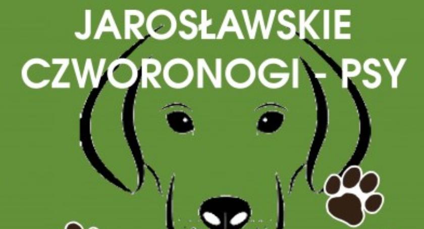Wybiorą najsympatyczniejszego psa