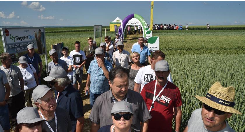 Dzień Pola
