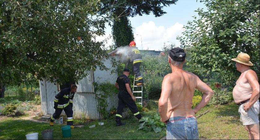 Pożar domku w Ogródkach Działkowych 
