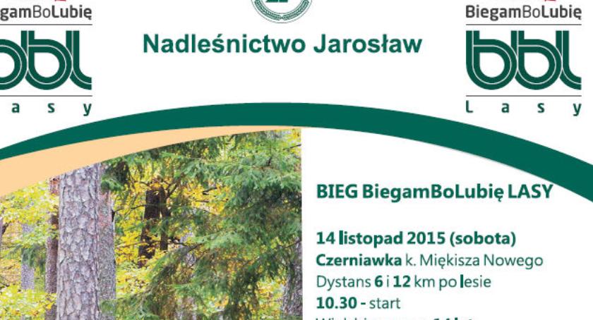 BiegamBo Lubię LASY